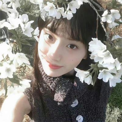 人海孤鸿