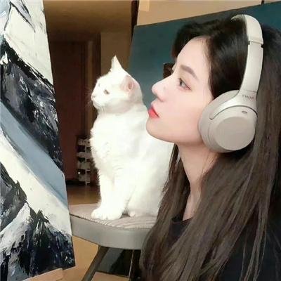 新狼与香辛料